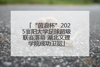 “茵浪杯”2025襄阳大学足球超级联赛落幕 湖北文理学院成功卫冕