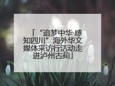 “追梦中华·感知四川”海外华文媒体采访行活动走进泸州古蔺