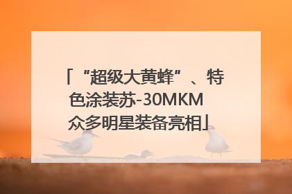 “超级大黄蜂”、特色涂装苏-30MKM 众多明星装备亮相