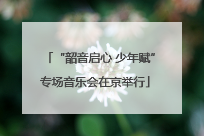 “韶音启心 少年赋”专场音乐会在京举行