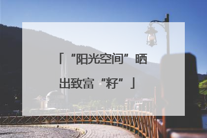 “阳光空间”晒出致富“籽”