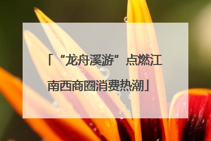 “龙舟溪游”点燃江南西商圈消费热潮