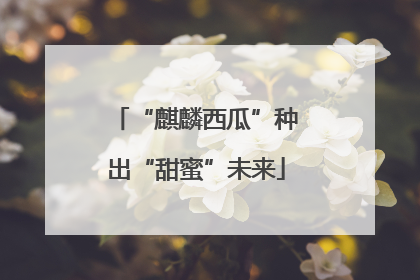 “麒麟西瓜”种出“甜蜜”未来