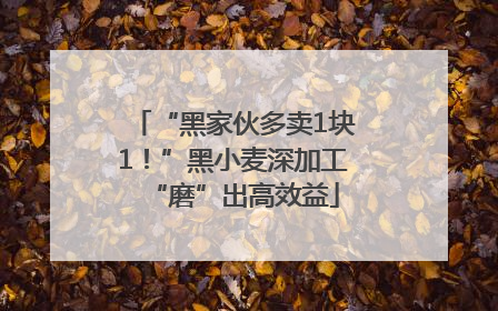 “黑家伙多卖1块1！”黑小麦深加工“磨”出高效益