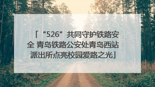 “526”共同守护铁路安全 青岛铁路公安处青岛西站派出所点亮校园爱路之光