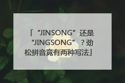 “JINSONG”还是“JINGSONG”？劲松拼音竟有两种写法