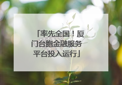 率先全国！厦门台胞金融服务平台投入运行
