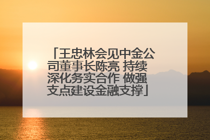王忠林会见中金公司董事长陈亮 持续深化务实合作 做强支点建设金融支撑