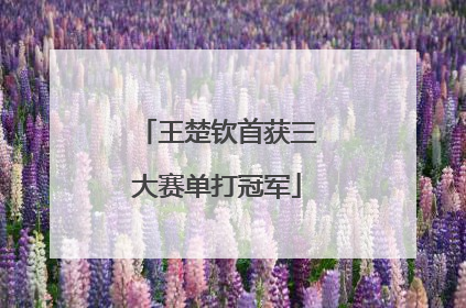王楚钦首获三大赛单打冠军