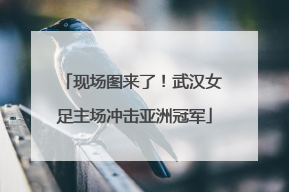 现场图来了！武汉女足主场冲击亚洲冠军