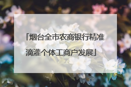 烟台全市农商银行精准滴灌个体工商户发展