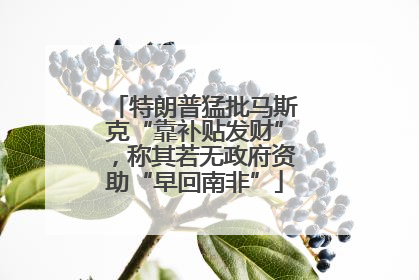 特朗普猛批马斯克“靠补贴发财”，称其若无政府资助“早回南非”