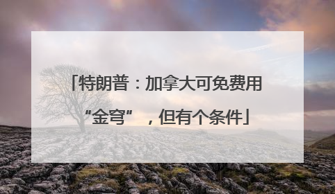特朗普：加拿大可免费用“金穹”，但有个条件