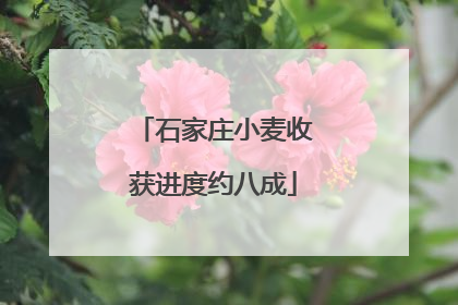 石家庄小麦收获进度约八成