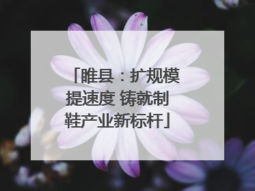 睢县：扩规模提速度 铸就制鞋产业新标杆