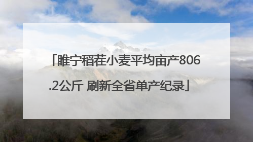 睢宁稻茬小麦平均亩产806.2公斤 刷新全省单产纪录