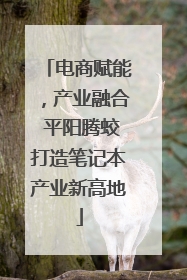 电商赋能，产业融合 平阳腾蛟打造笔记本产业新高地