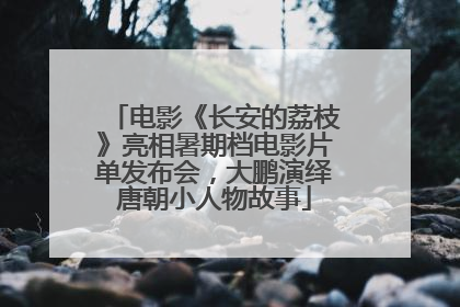 电影《长安的荔枝》亮相暑期档电影片单发布会，大鹏演绎唐朝小人物故事