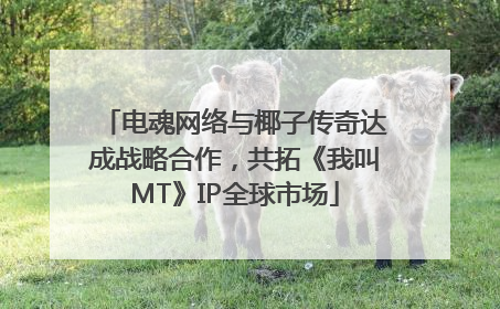 电魂网络与椰子传奇达成战略合作，共拓《我叫MT》IP全球市场