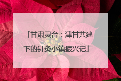 甘肃灵台：津甘共建下的针灸小镇振兴记