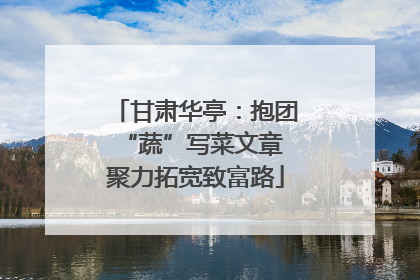 甘肃华亭：抱团“蔬”写菜文章 聚力拓宽致富路