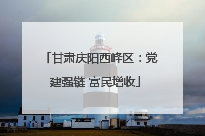 甘肃庆阳西峰区：党建强链 富民增收