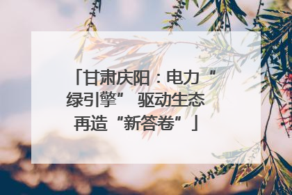 甘肃庆阳：电力“绿引擎” 驱动生态再造“新答卷”