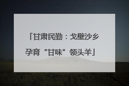 甘肃民勤：戈壁沙乡孕育“甘味”领头羊
