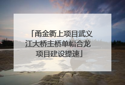 甬金衢上项目武义江大桥主桥单幅合龙 项目建设提速