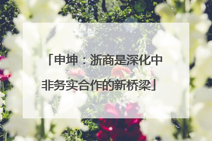 申坤：浙商是深化中非务实合作的新桥梁