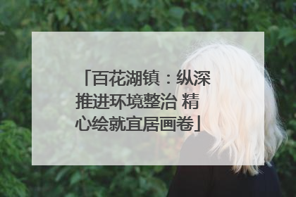 百花湖镇：纵深推进环境整治 精心绘就宜居画卷