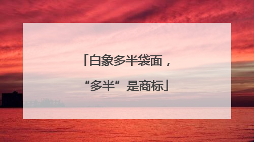 白象多半袋面，“多半”是商标