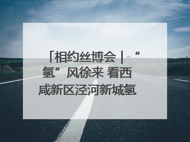 相约丝博会｜“氢”风徐来 看西咸新区泾河新城氢能产业聚链成势