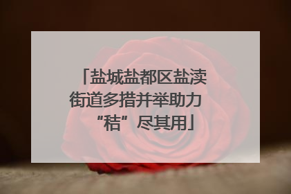 盐城盐都区盐渎街道多措并举助力“秸”尽其用