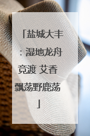 盐城大丰：湿地龙舟竞渡 艾香飘荡野鹿荡