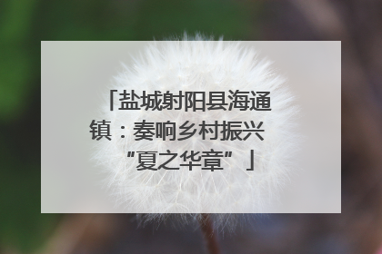 盐城射阳县海通镇：奏响乡村振兴“夏之华章”