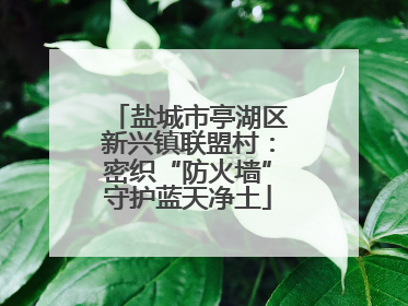盐城市亭湖区新兴镇联盟村：密织“防火墙”守护蓝天净土