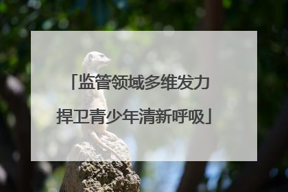 监管领域多维发力 捍卫青少年清新呼吸
