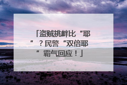 盗贼挑衅比“耶”？民警“双倍耶”霸气回应！