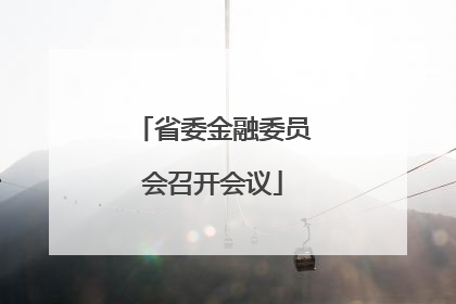 省委金融委员会召开会议