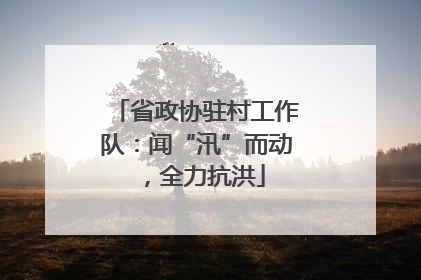 省政协驻村工作队：闻“汛”而动，全力抗洪