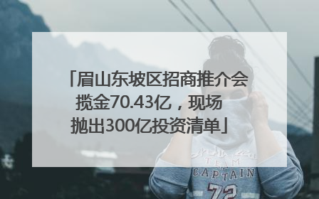 眉山东坡区招商推介会揽金70.43亿，现场抛出300亿投资清单