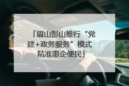眉山彭山推行“党建+政务服务”模式 精准惠企便民