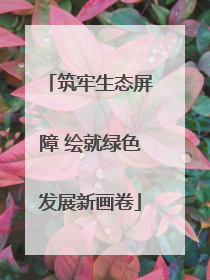 筑牢生态屏障 绘就绿色发展新画卷