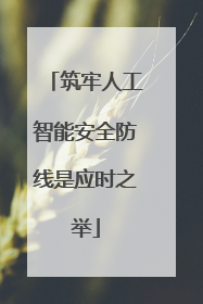 筑牢人工智能安全防线是应时之举