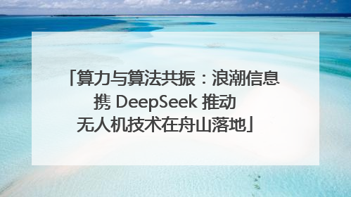 算力与算法共振：浪潮信息携 DeepSeek 推动无人机技术在舟山落地