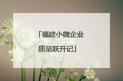 福建小微企业质量跃升记