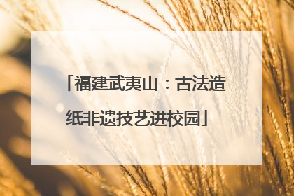 福建武夷山：古法造纸非遗技艺进校园
