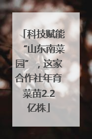 科技赋能“山东南菜园”，这家合作社年育菜苗2.2亿株