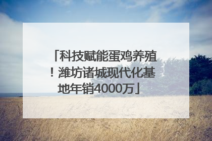 科技赋能蛋鸡养殖！潍坊诸城现代化基地年销4000万